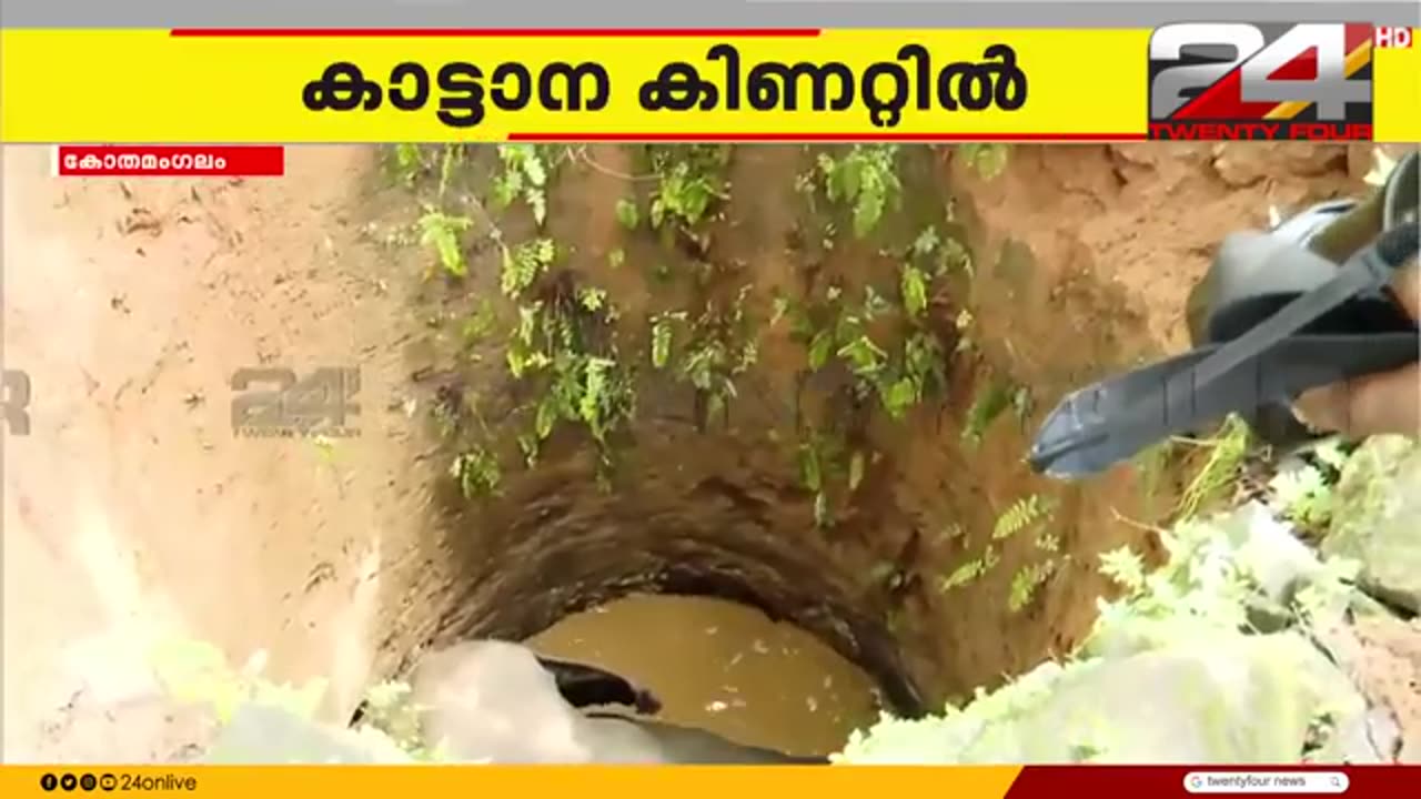 കോതമംഗലം_കോട്ടപ്പടിയിൽ_കിണറ്റിൽ_വീണ_കാട്ടാനയെ_പുറത്തെത്തിക്കാൻ_ശ്രമം_തുടരുന്നു___Kothama