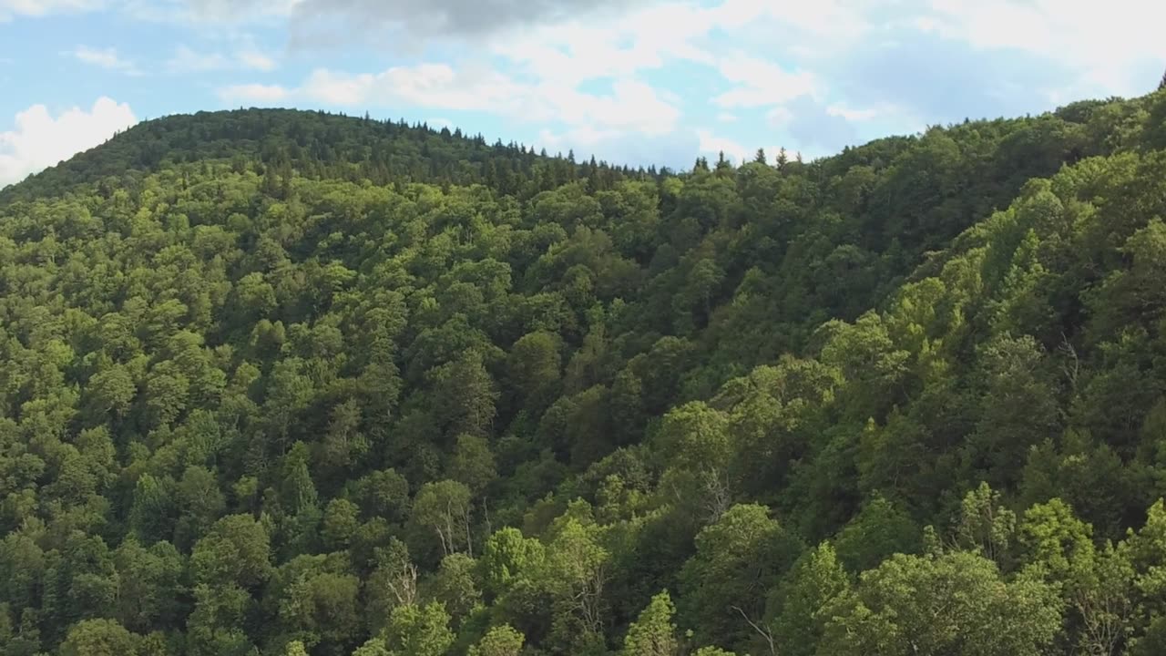 Mountains