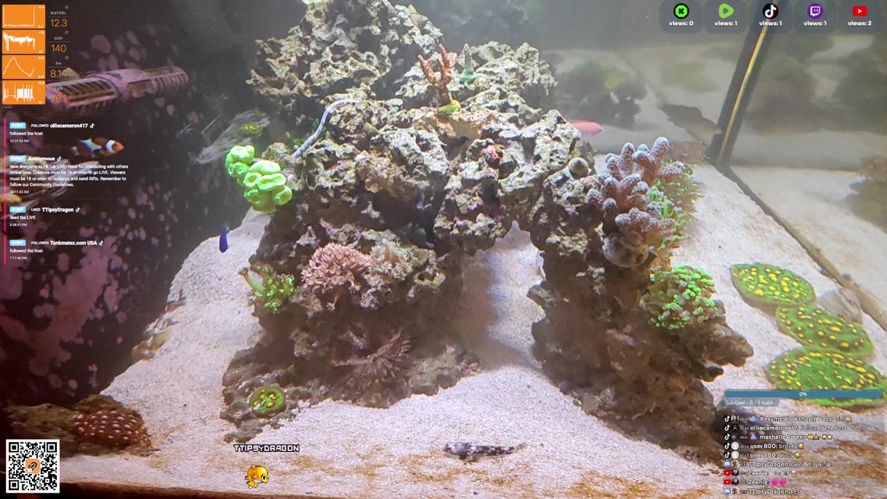 24/7 Real Live Reef Stream