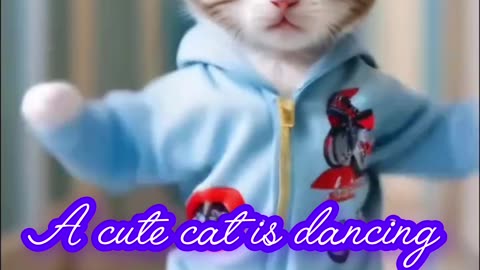 A dancing cat and a dog is playing music