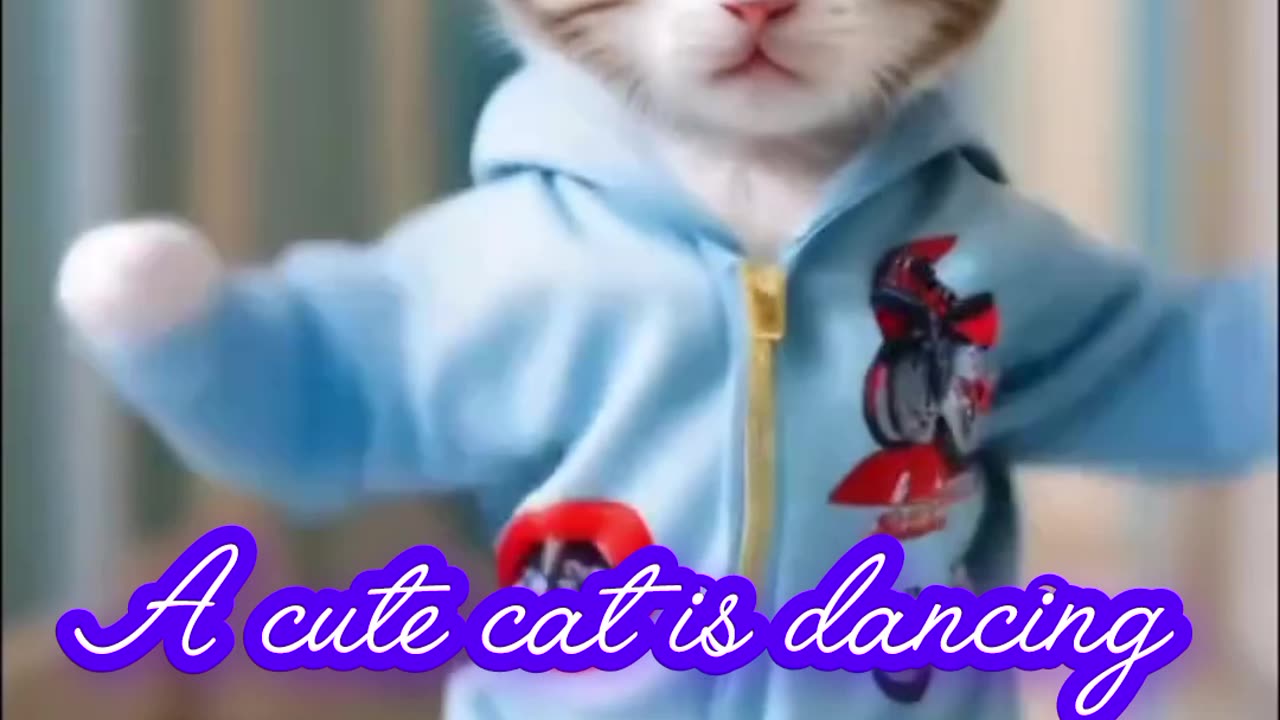 A dancing cat and a dog is playing music