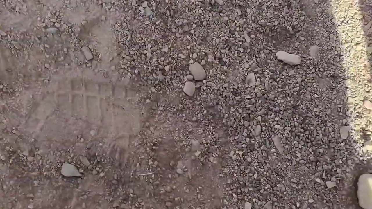 Stock Saddle Bronc Ride