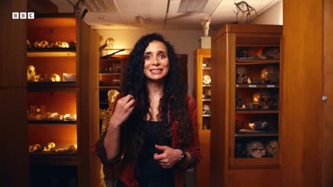6 Ancient Objects That Changed Everything We Know About Human History Human BBC Timestamp
