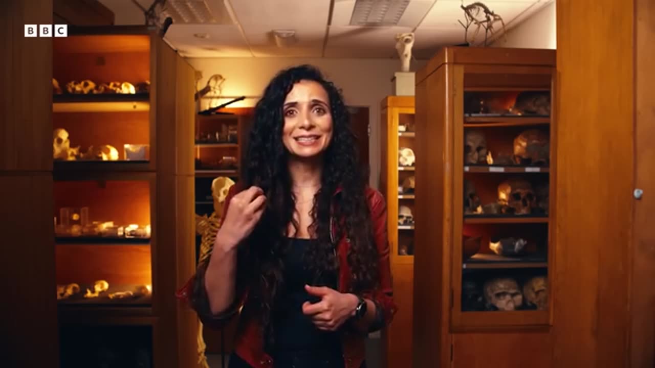 6 Ancient Objects That Changed Everything We Know About Human History Human BBC Timestamp