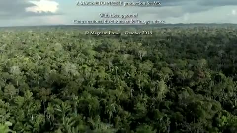 Bei den Mennoniten: keine Bildschirme, kein Benzin, kein Plastik, aber jede Menge S.... (re-up)