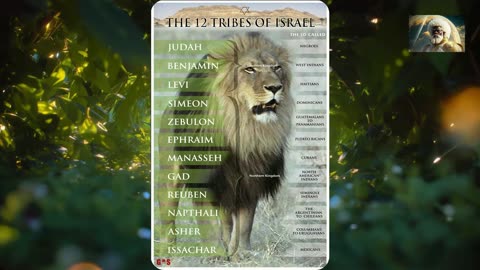 Prophecy Watch: The Famine of hearing the WORDS OF THE LORD !!!!!!! #SOOOOOOON