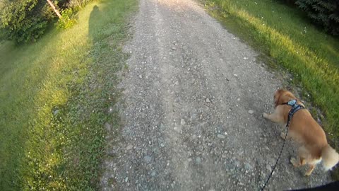 June 15th, 46º