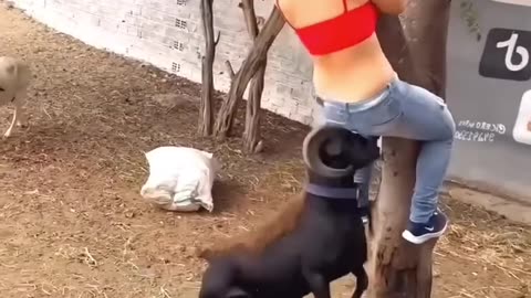 funny