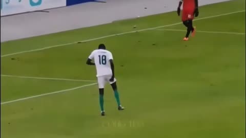 Very funny football goal