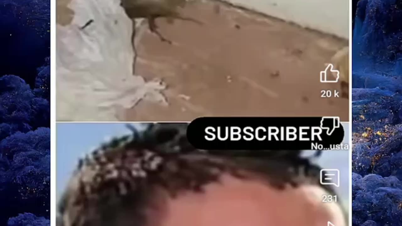 Just shorts videos 😜😜😜!!!