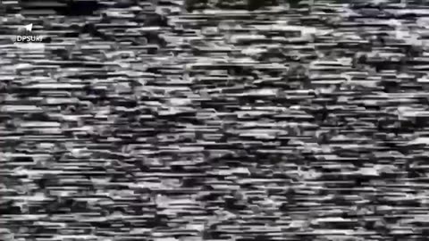 "Chimera" destroys Russian checkpoints in the Bryansk region💥