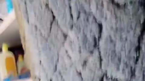 Bathroom Carpet Walls?