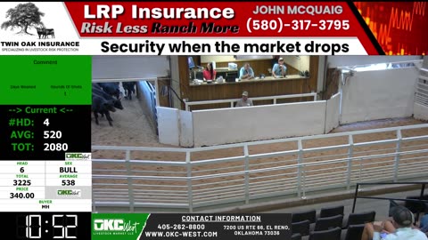 7/22/2025 - Calf & Stocker Auction - OKC West
