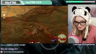 Cringe Panda Gaming Stream