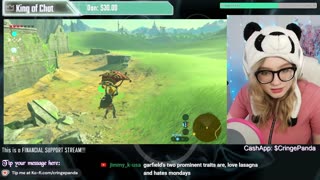 Cringe Panda Gaming Stream