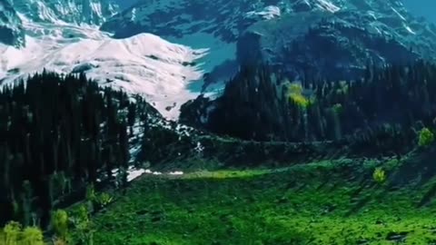 All videos