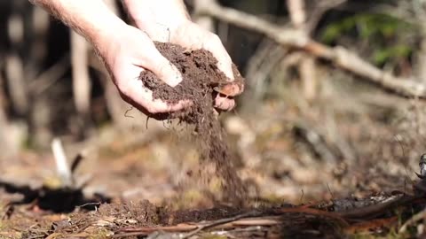 The Great Awakening A New Era of Light, Truth, and Restoration