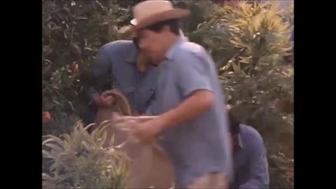 1986 Stingray: Ancient Eyes