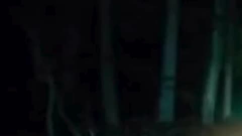 Most Convincing Bigfoot Encounters Caught on Camera