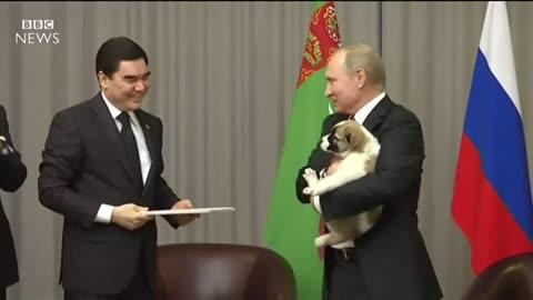 Look at Putin rescue this dog.