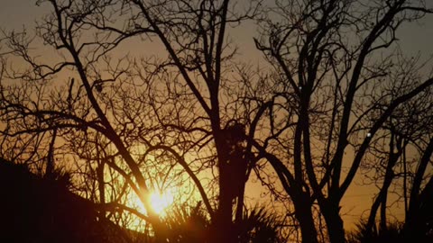 ✨🙏 Short Prayer | 43 Seconds of Peace & Reflection | InGodWeTrustDaily