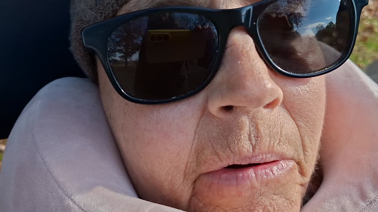 Cat Update November 4, 2025