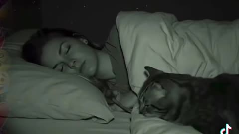 Cat rat