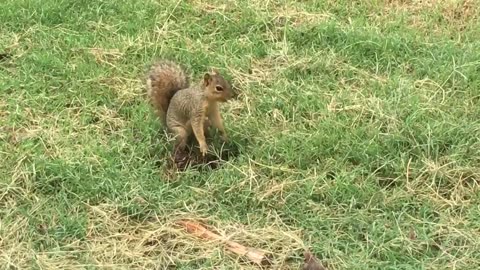Hey man, what are you doing? Digging for treasure?😜