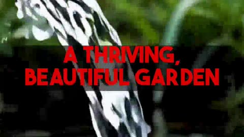 Revolutionize Your Garden: AI Planning Techniques on gardenplanbyai.com