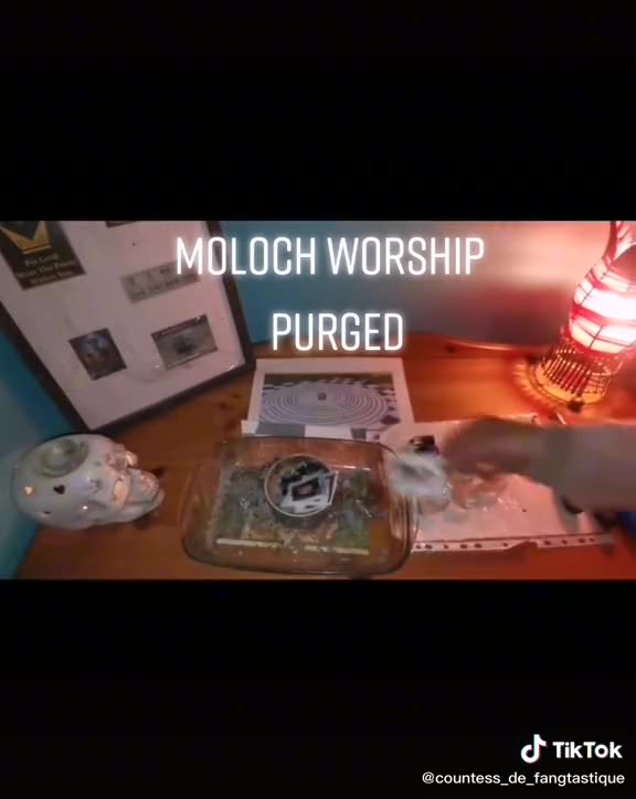 Tim Rifat TikTok Videos