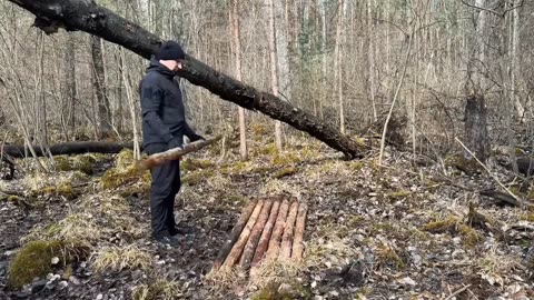 Real Jungle Hunting –