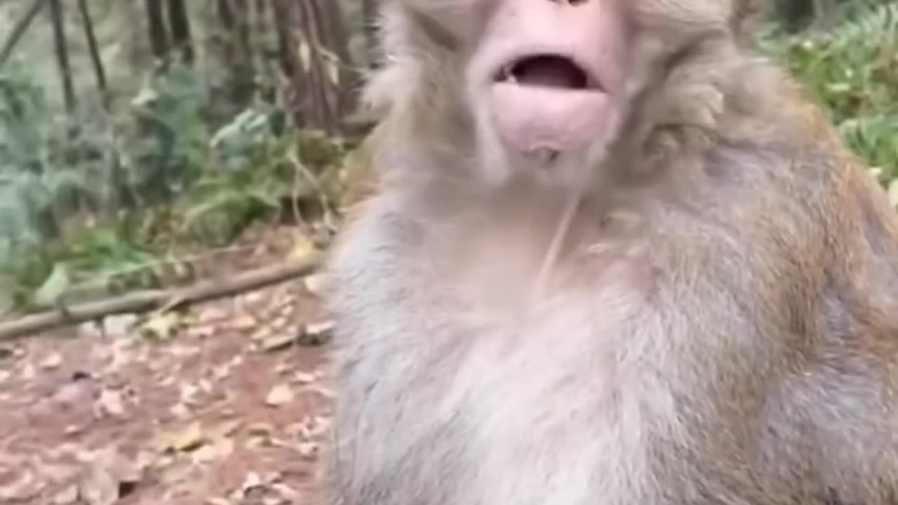 Fun