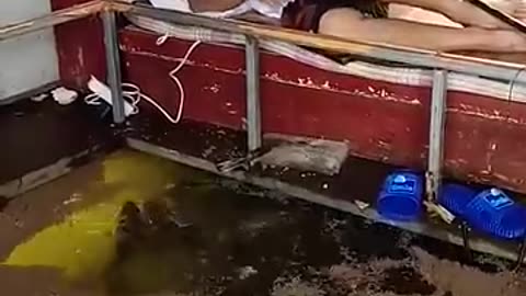Incredible: fishing, fishing fails, try not to laugh, Top funny fishing videos ,