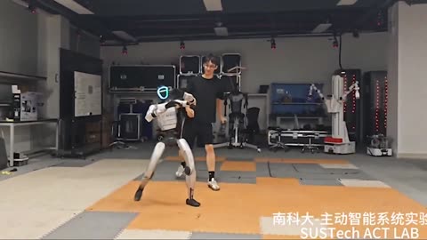 🇨🇳 CHINESE ROBOT BALANCE TEST