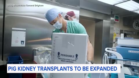 Pig kidney transplants to be expanded for humans