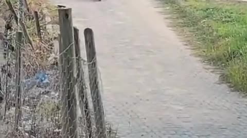😱🚨 Dangerous Ride! | FunFM