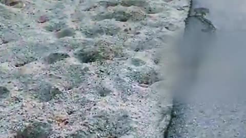 Paseo tranquilo en el parque se convierte en un choque con una ciclista