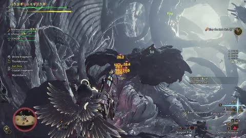 Monster Hunter Wilds time