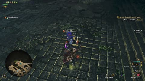 Monster Hunter Wilds time