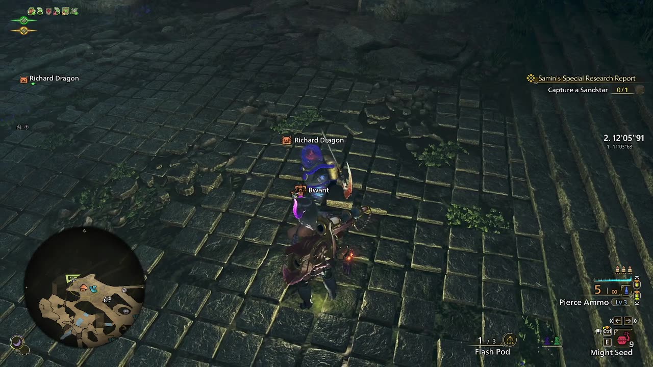 Monster Hunter Wilds time
