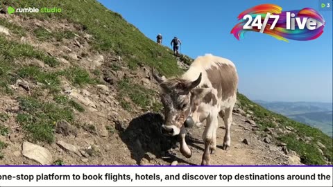 Pritaice Travel Live 24/7