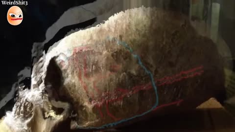 Nephilim Skulls ~WISE UP