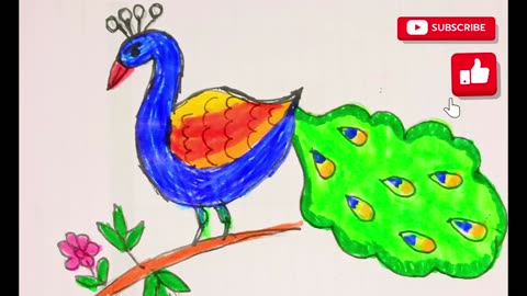How to Draw Peacock Step by Step || Peacock Drawing Tutorial