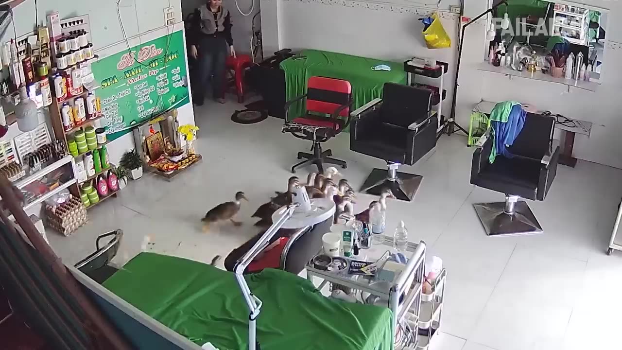 Dumbest Fails on the Planet...Instant Regret...