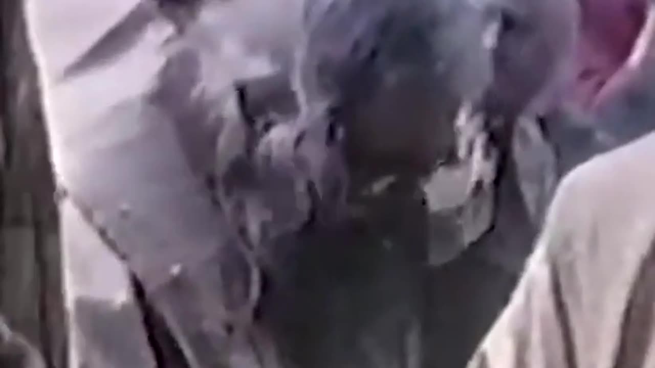 Aşa NU! Svântul Ioan Maximovici Semnul SV. CRUCI făcut ÎNTORS!