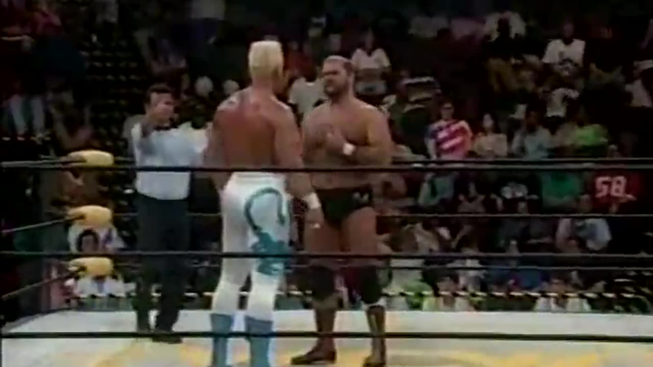WCW Saturday Night Apr 22 1995 **JIP**