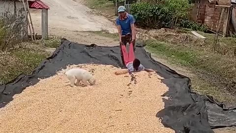 😂🌾 Agricultural Engineer's Hilarious Technique! You Have to See This | FunFM