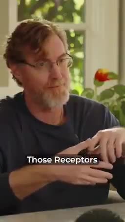 Nicotine - patches or gum