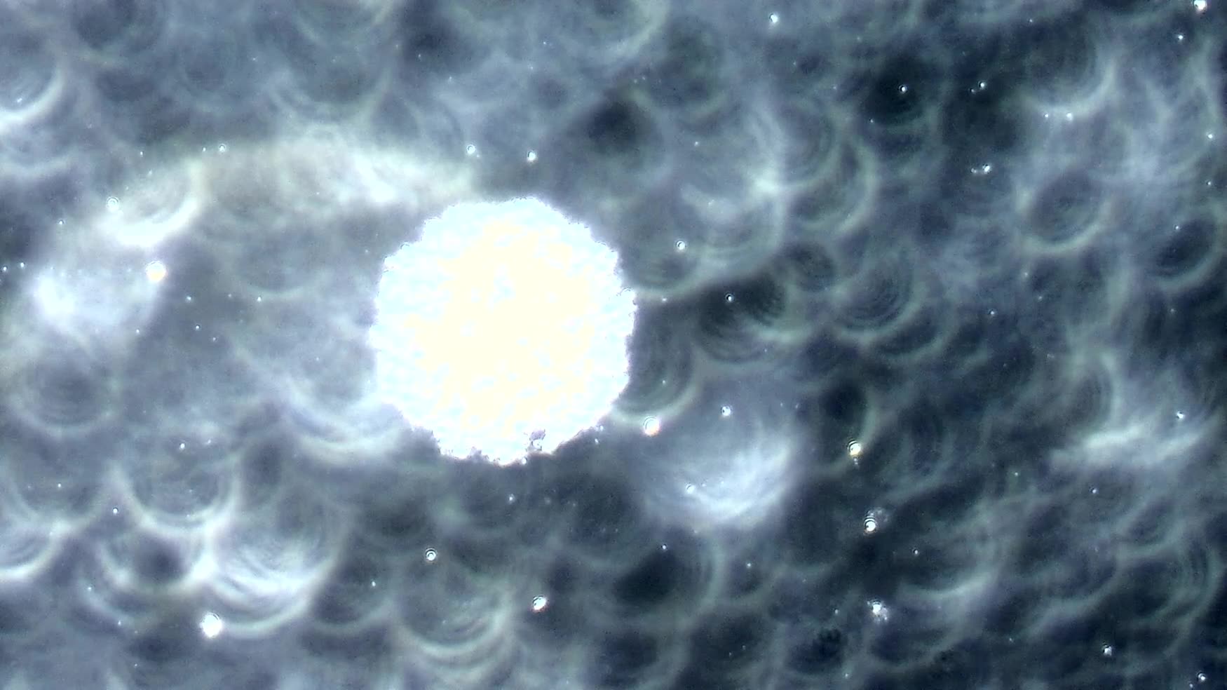 Video of Global Healings EDTA pulling metals and Actuators/Activators in Urine