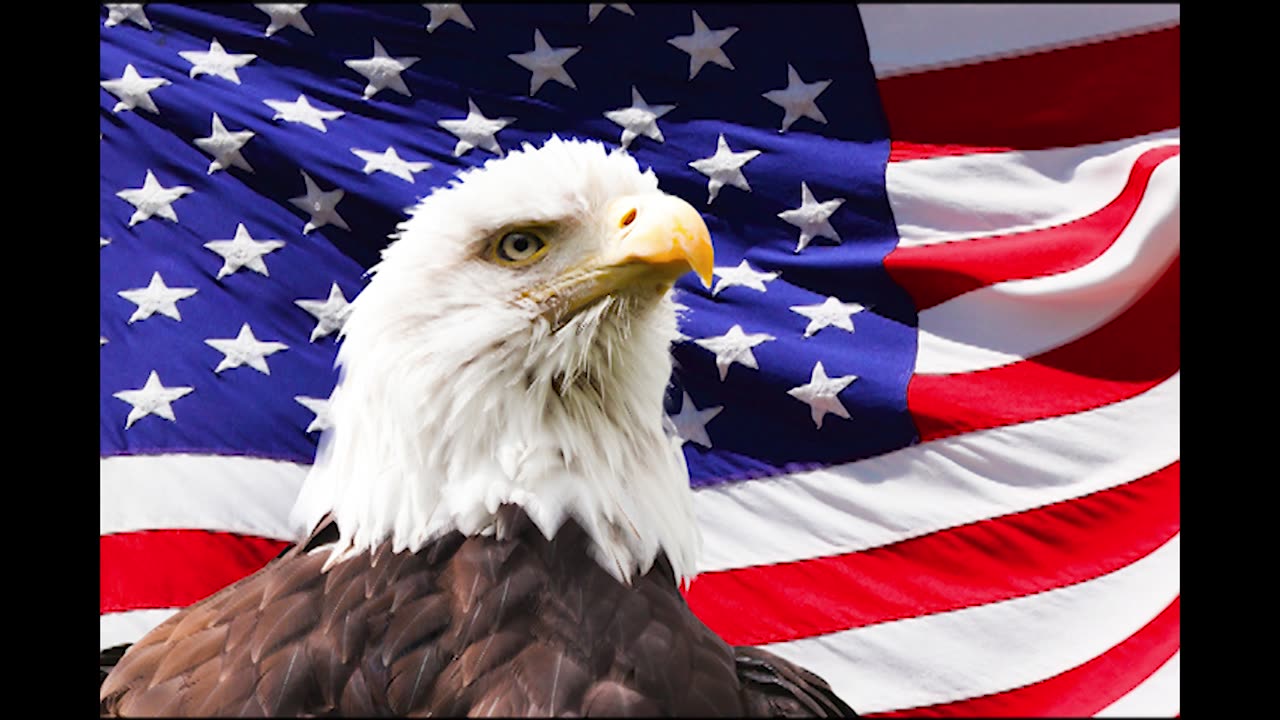 Take A Stand For The Red White & Blue